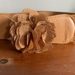 Brown Belt Tan Photo 3