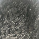 Betsey Johnson  Jacket Womens Black Faux Fur sequin animal print size small Photo 6