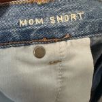 American Eagle  Mom Shorts Tiny Flower Embroidered Plus Size 20 Boho Photo 5