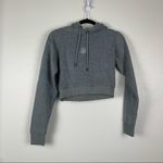 Siksilk Brushed Cropped Hoodie Washed‎ Gray 6 NWT Photo 2