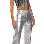 Akira Metallic Silver Pants Photo 0