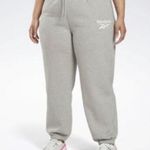 Reebok NWT Identity BL Fleece Pants in Heather Grey, Plus Size 2X New w/Tag Photo 1