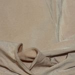 Spanx Beige Shapewear Photo 1