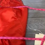 NWT Lan Ting Bride mother of the bride ruby dress Red Size 12 Photo 3