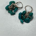 Vtg Turquoise Dangle Earrings South Western National Wildlife Federation Case Blue Photo 4