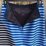 J.Crew NWOT  skirt Photo 5