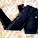 Adidas Designed 2 Move Aeroready Leopard Print 7/8 Tight NWOT Size XS Photo 0