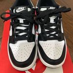 Nike Dunks Panda Photo 1