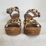 UGG  Calf Hair Leopard/Cheetah Jazmine Sandal Wedge Espidrille Heels Photo 1