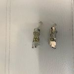 Vintage Novelty Chetah Leopard Big Cat Clip On Silver Earrings Photo 11