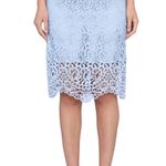 Burberry NWT  High waist lace embroidered mid skirt Photo 3