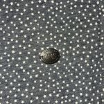 Naketano  Womens Navy‎ Blue Star Print Hoodie Large Photo 2