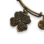 ALEX AND ANI  Energy Womens Bangles Charm Bracelets Set of 2 Fashion Jewelry Photo 3