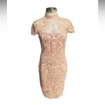 Tadashi Shoji  - High Neck Lace Knee Length Dress  Size 8 Photo 2