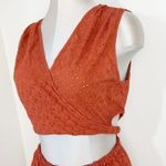 ZARA Openwork Embroidered Terracota Mini Dress Size Large Blogger Favorite Photo 4