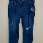 New Ava & Viv Cropped Jeans Blue Size 16 plus Photo 0