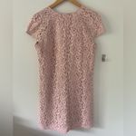 ZARA Women’s Soft Pink Lace V-neck Mini Dress in Size Small Photo 2
