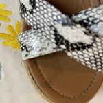 Bonnibel  Snakeskin Print Black & White Espadrilles Photo 5