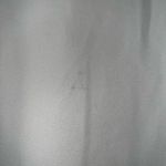 Emma & Michele  Pleated Shift Women Short Sleeve Dress White (small stain) NWT 12 Photo 2