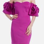 Jewel Badgley Mischka Rosette Mini Dress Pink Off The Shoulder Size 2 Cocktail Photo 0