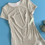 Eliza J NWT  Sequin Neutral Blush Ruffled A-Line Asymmetric Ruffle Hem Dress Photo 4