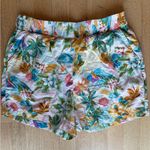C&C California  Multicolor Floral Shorts Photo 0