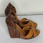 Tory Burch Brown Leather and Python Platform Wedge Ankle Strap Sandals Size 8.5 Photo 2