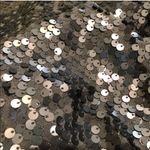 EXPRESS 🆕 silver sequin cropped cap sleeve… Photo 10