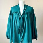 Time And Tru  | Emerald Green Pinstriped Balloon Sleeve Button Down Blouse Sz 2XL Photo 0