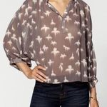 Rebecca Taylor  Free Bird Sheer Taupe 3/4 Sleeve Blouse Size 0 Photo 0