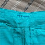 Pelagic Reel Legends Teal Women's board shorts Photo 3