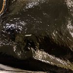 The Sak 👜 Hobo Bag Photo 3