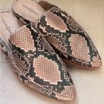 Treasure & Bond  Snake Print Slide On Mules Photo 5