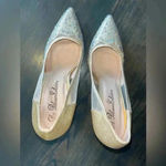 Lauren Lorraine De‎ Blossom  Glitter Mesh Pointed Toe Stiletto Heels Wedding Evening Pumps Photo 2