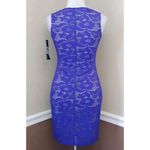 Jump Cobalt Blue Lace Beige Lined Bodycon ModCloth Party Dress Apparel Coquette Photo 2