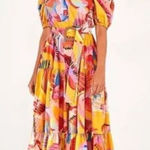 Farm Rio  Neon Macaws Puff Sleeve Belted Cotton Maxi Dress Photo 0
