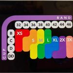 Bali  Pull On Fuschia Sports Bra Size XL NWT Photo 4