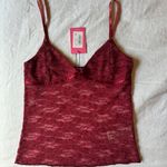 Edikted Sheer Lace Tank Top Photo 1