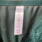 Cacique 26/28 Green Lingerie Chemise Slip Lace Sheer Adjustable Babydoll 4X Photo 3