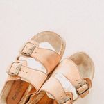 Rockport Two Strap Buckle Sandals Size 8 Photo 1