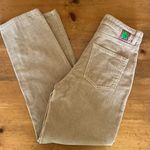 Zumiez Empyre Empyre Tori 90s Skate Pants Photo 0