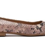 Steve Madden NEW Danni Printed Flat Slip On Shoe Comfort Photo 1
