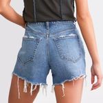 Vervet  Jean Shorts Photo 2