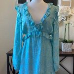 RAHI Aqua Poppy Daisy Ruffle Dress Large NWT Photo 4