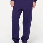 SKIMS Cotton Fleece Classic Jogger in Concord, Size Small Photo 0