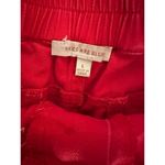 Skies Are Blue  Red Paper bag Shorts Size Large Button Fly High Waisted Summer Photo 2