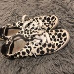 Jellypop  cow print size 9 Photo 0