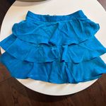 ZARA Skirt Photo 0
