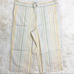 Madewell New  Emmett Wide-Leg Crop Pants in Stripe Plus Size Petite 37P Photo 6
