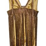 NWT Mandalay Light Gold Beaded Fringe Sequin V Photo 7
